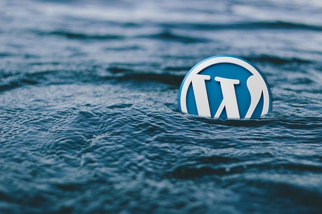 Optimaliseer je WordPress-site voor betere SEO-resultaten
