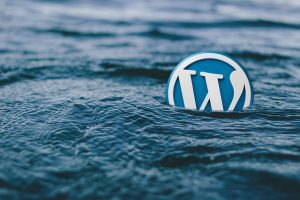 Optimaliseer je WordPress-site voor betere SEO-resultaten